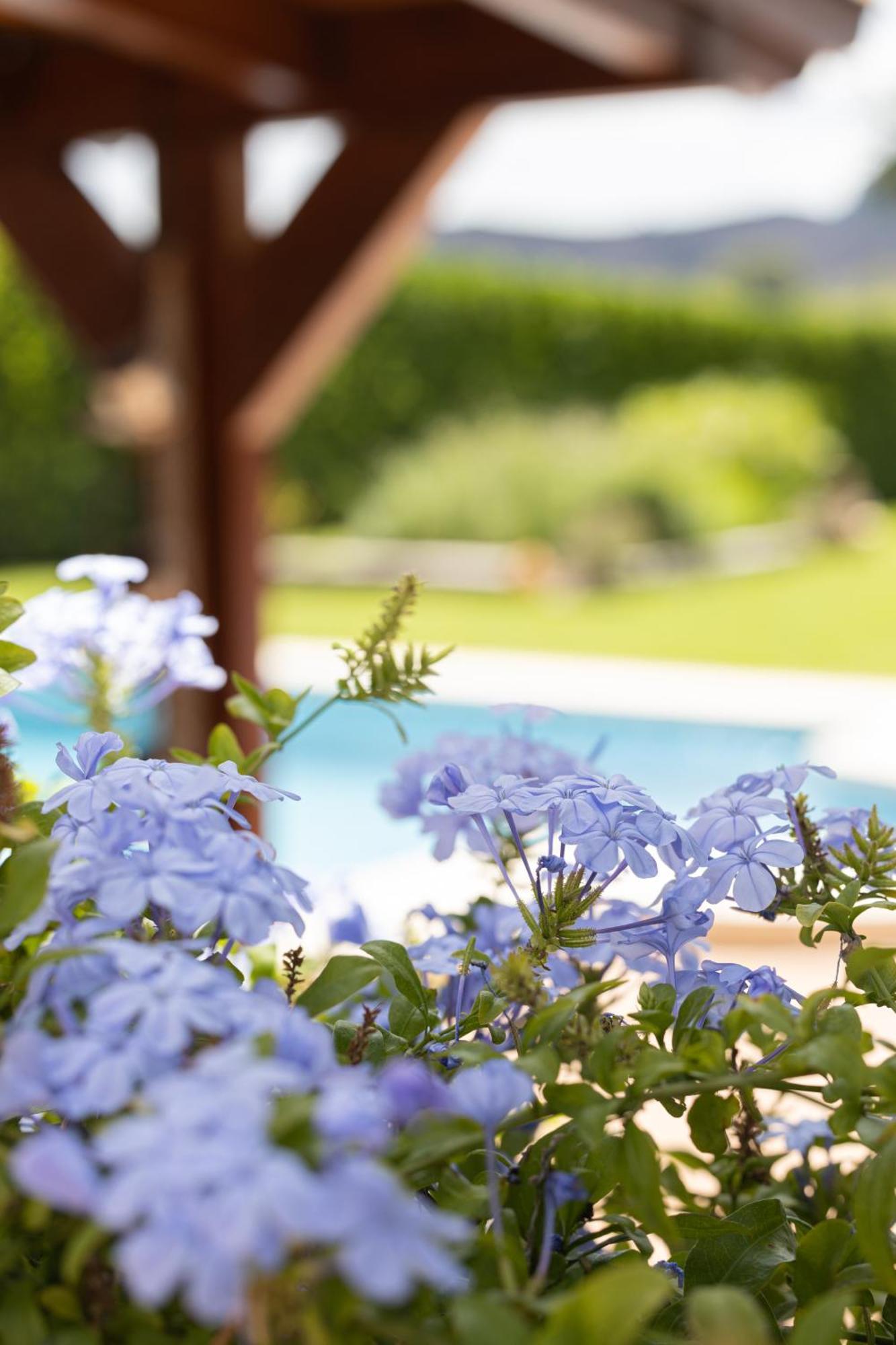 Finca La Marina Denia Dış mekan fotoğraf